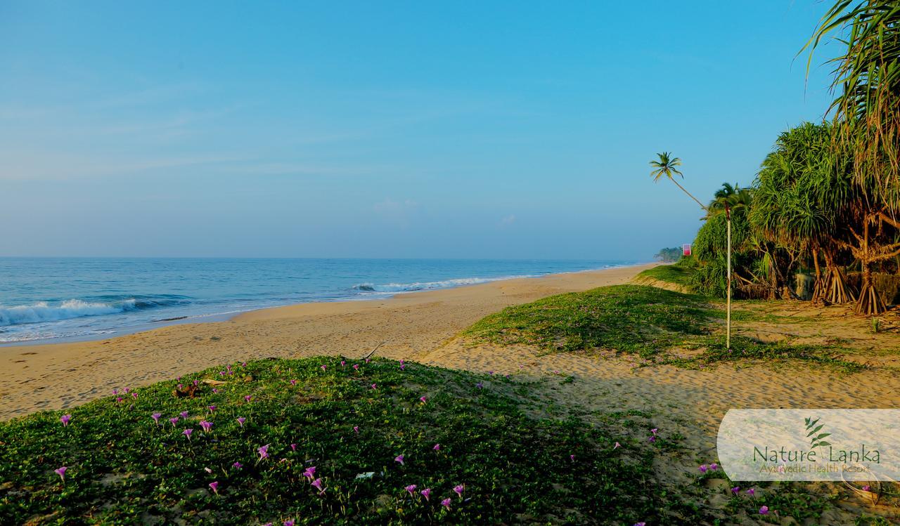 Nature Lanka Ayurveda Resort - All Meals And Ayurveda Treatments With Yoga Tangalle Exterior photo
