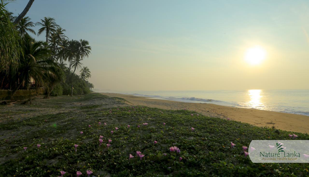 Nature Lanka Ayurveda Resort - All Meals And Ayurveda Treatments With Yoga Tangalle Exterior photo