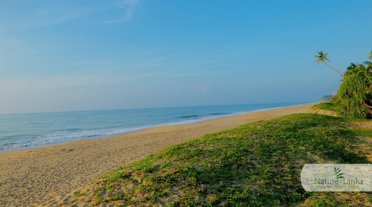 Nature Lanka Ayurveda Resort - All Meals And Ayurveda Treatments With Yoga Tangalle Exterior photo